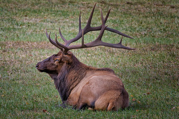untitled-783October 18, 2022-2-Edit-Edit