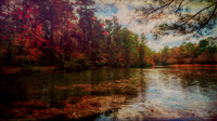 untitled-21November 16, 2025-HDR-Edit-Edit-Edit