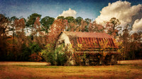 untitled-44November 16, 2025-HDR-Edit-Edit