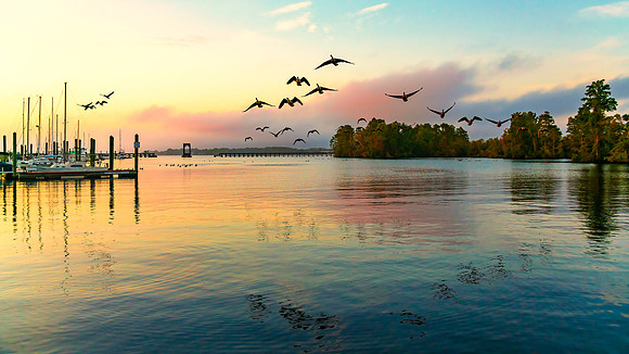 untitled-96September 14, 2019-Edit