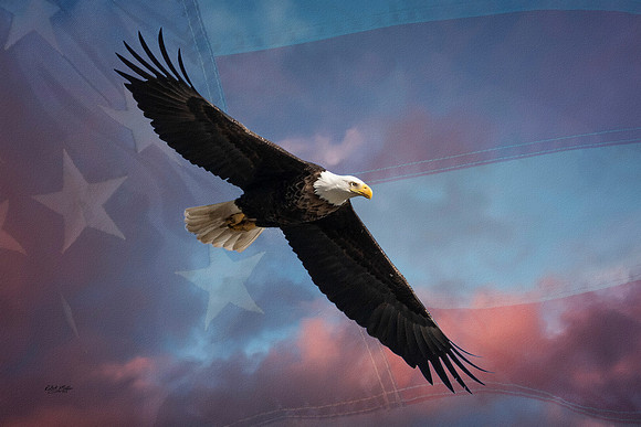 Eagle&Flag