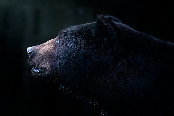 untitled-106August 22, 2019-Edit