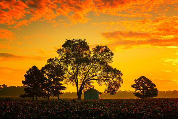 untitled-72September 01, 2019-HDR-Edit