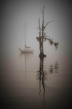 untitled-1December 09, 2019