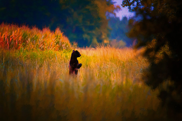 untitled-339August 04, 2019-Edit-Edit-2